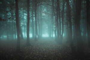 haunted forest